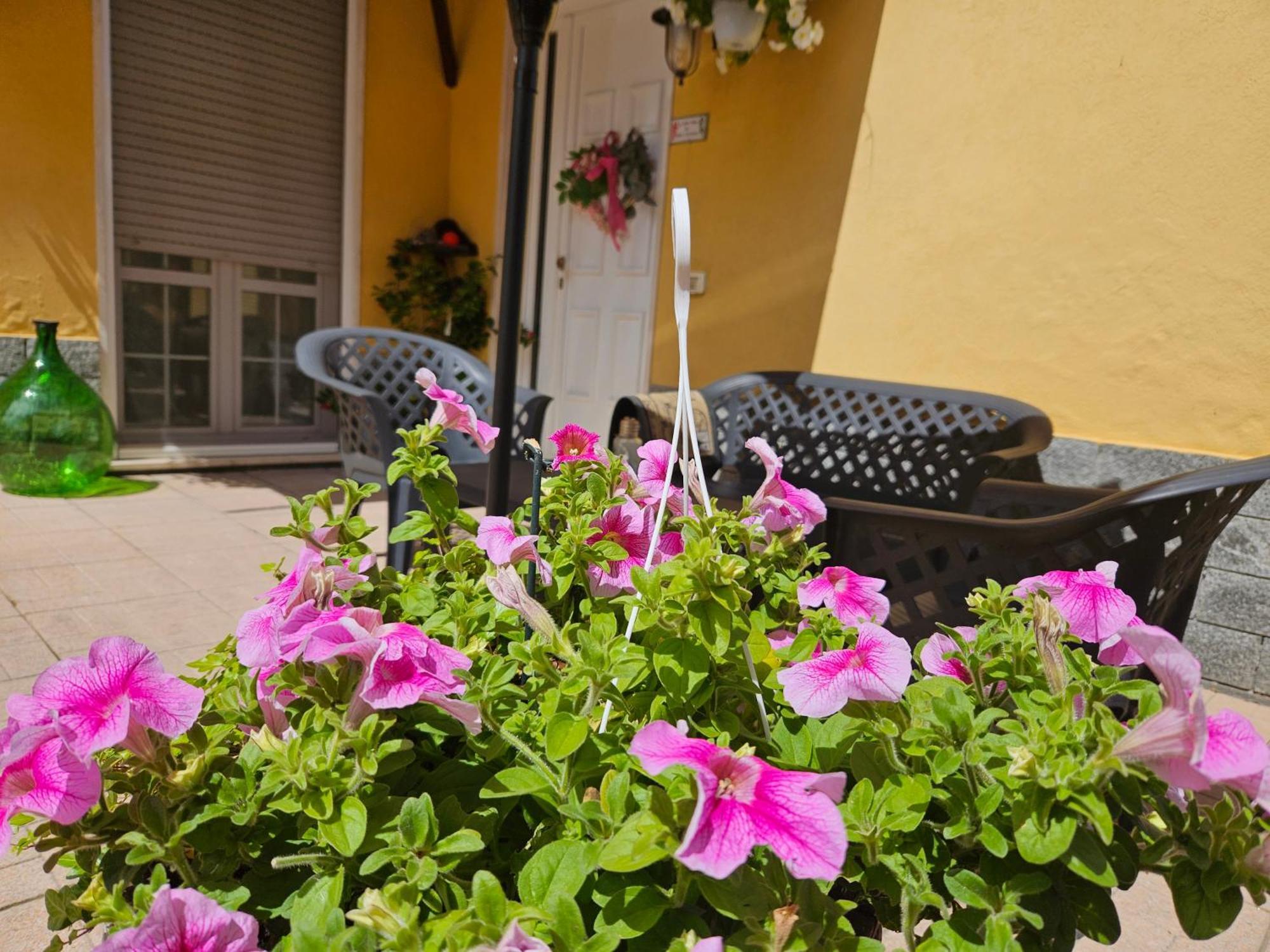 Il Pepe Rosa Di Anna E Silvano Сарцана Экстерьер фото